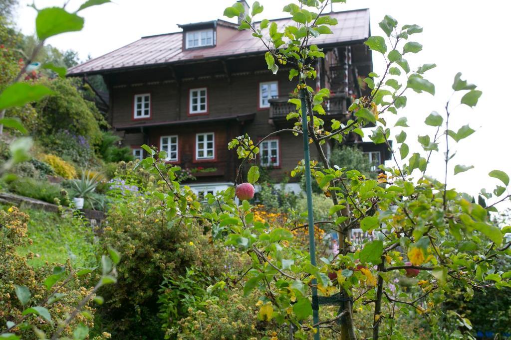 Landhaus Alpina Affittacamere Mittersill Esterno foto