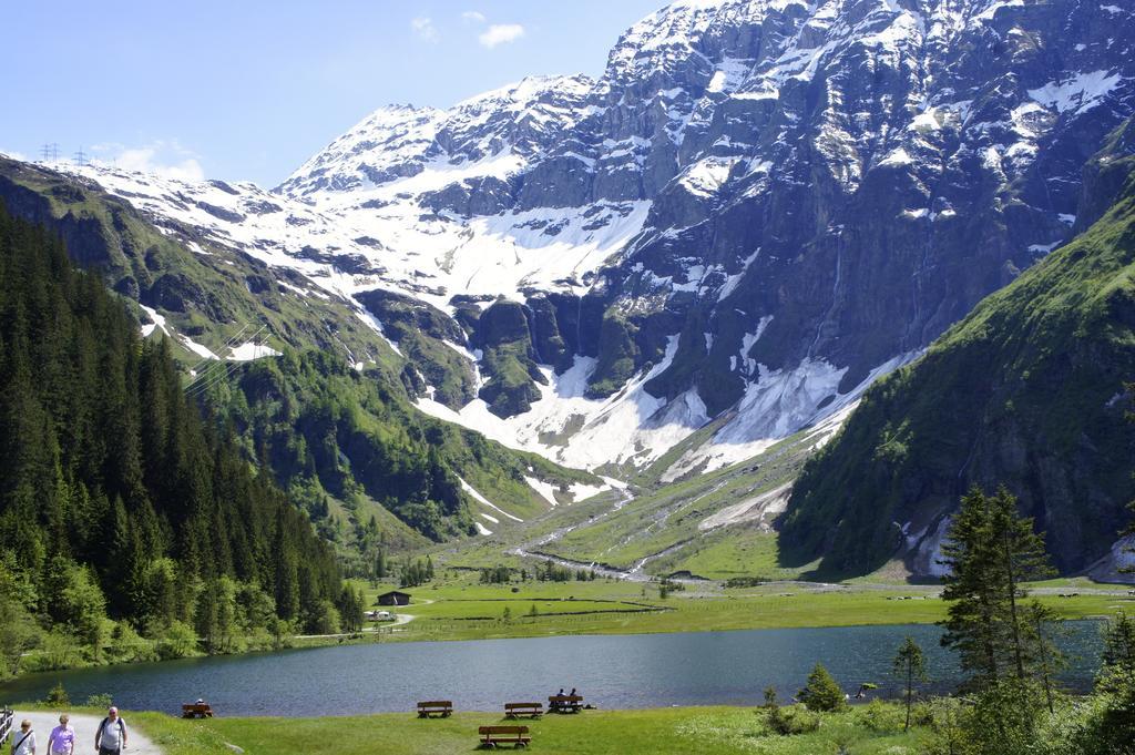 Landhaus Alpina Affittacamere Mittersill Esterno foto